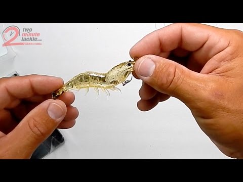 LIVETARGET – Hybrid Shrimp